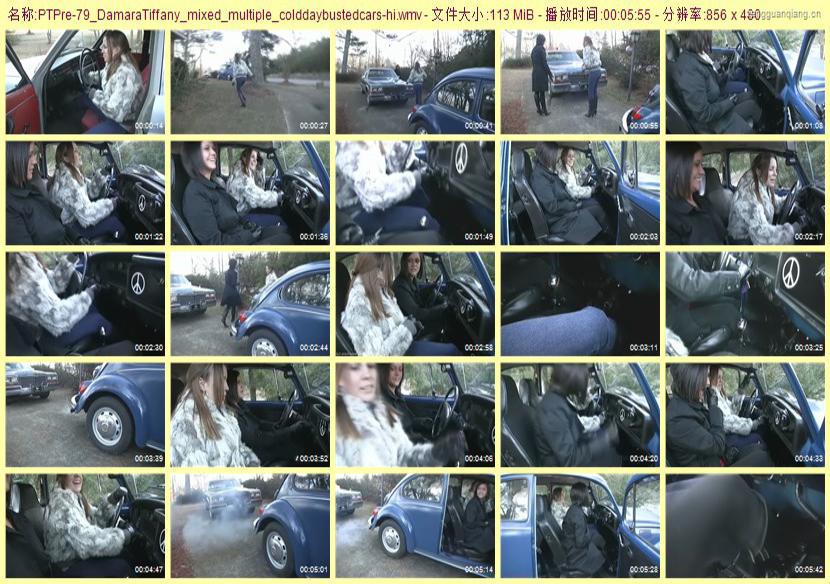 ptpre-79_DamaraTiffany_mixed_multiple_colddaybustedcars
